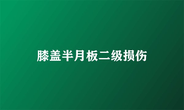 膝盖半月板二级损伤
