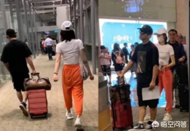 郑恺和苗苗官宣结婚,你有什么想说的?