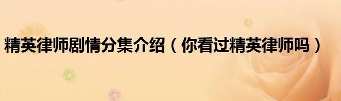 精英律师剧情分集介绍（你看过精英律师吗）
