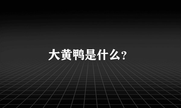 大黄鸭是什么？