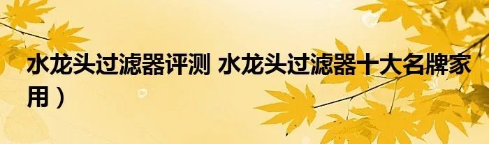 水龙头过滤器评测 水龙头过滤器十大名牌家用）