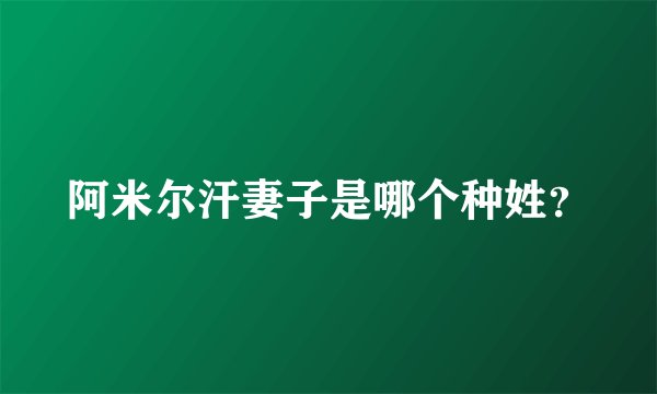 阿米尔汗妻子是哪个种姓？