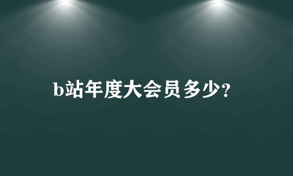 b站年度大会员多少？