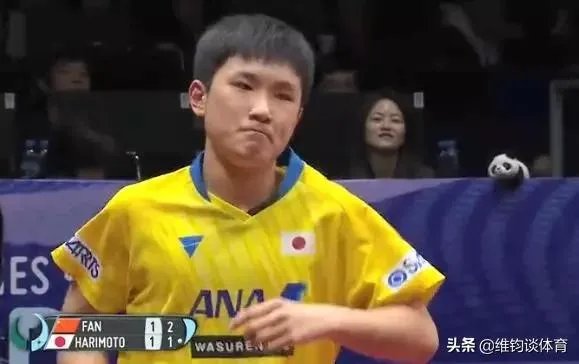 樊振东评价张本智和,称其“非常向上,永远打不服”,是怎么回事?如何评价?
