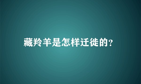 藏羚羊是怎样迁徙的?