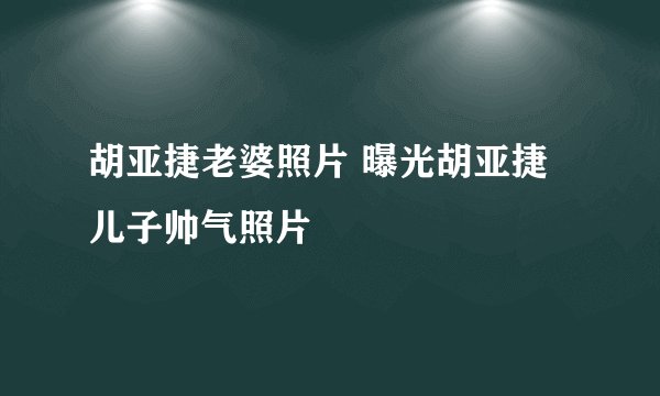 胡亚捷老婆照片 曝光胡亚捷儿子帅气照片