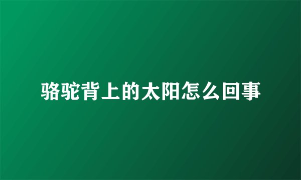 骆驼背上的太阳怎么回事