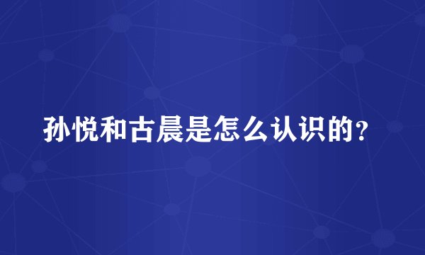 孙悦和古晨是怎么认识的？