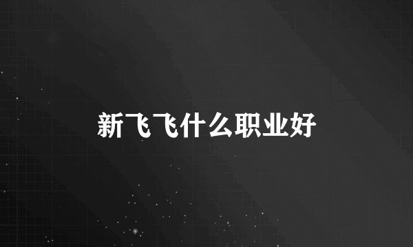 新飞飞什么职业好