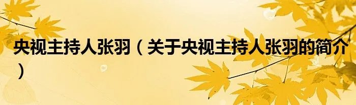 央视主持人张羽（关于央视主持人张羽的简介）