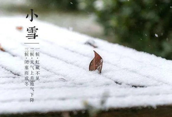 二十四节气图一套 美得令人窒息的二十四节气图