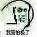 红茶女生什么意思 红茶女生梗出处介绍