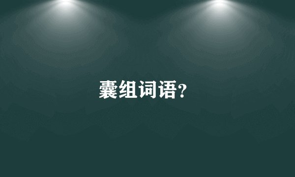 囊组词语？