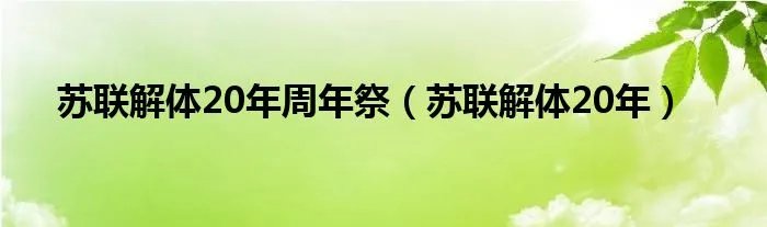苏联解体20年周年祭(苏联解体20年)