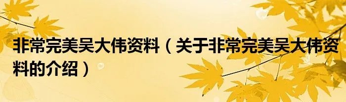 非常完美吴大伟资料（关于非常完美吴大伟资料的介绍）