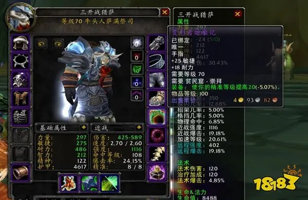 魔兽世界tbc怀旧服增强萨怎么输出 怀旧服增强萨输出循环
