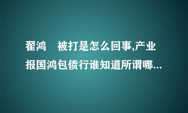 翟鸿燊被打是怎么回事,产业报国鸿包债行谁知道所谓哪里创办的，靠谱吗？