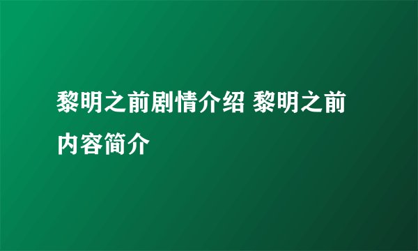 黎明之前剧情介绍 黎明之前内容简介