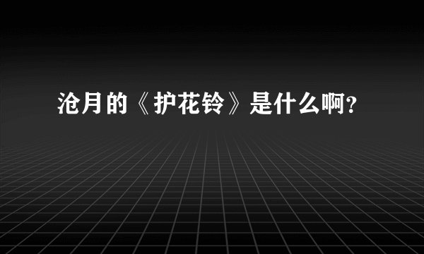 沧月的《护花铃》是什么啊？