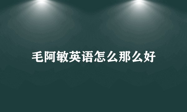 毛阿敏英语怎么那么好
