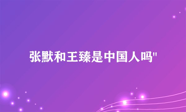 张默和王臻是中国人吗