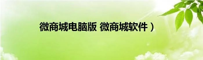 微商城电脑版 微商城软件）