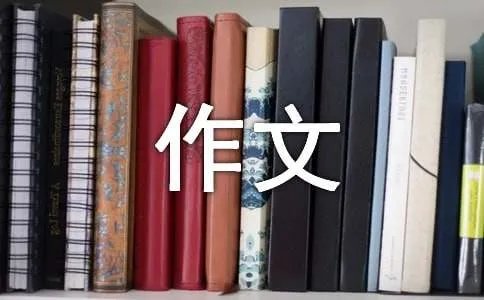 写养猫记作文800字左右
