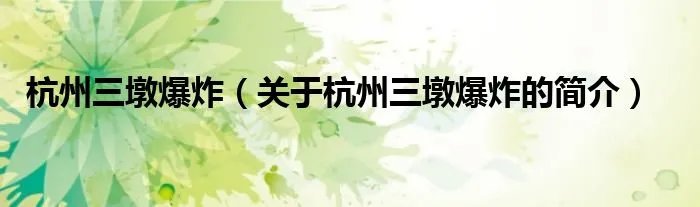 杭州三墩爆炸（关于杭州三墩爆炸的简介）