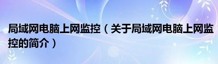 局域网电脑上网监控（关于局域网电脑上网监控的简介）