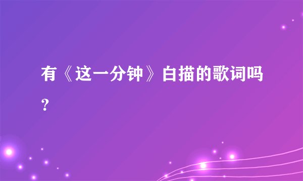 有《这一分钟》白描的歌词吗？
