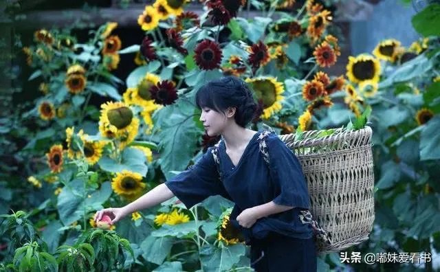 对于李子柒是否是文化输出有什么看法?