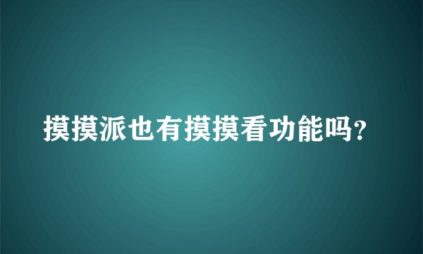 摸摸派也有摸摸看功能吗？