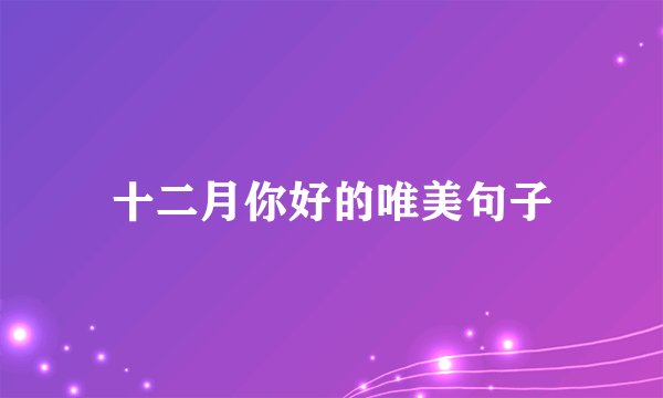 十二月你好的唯美句子
