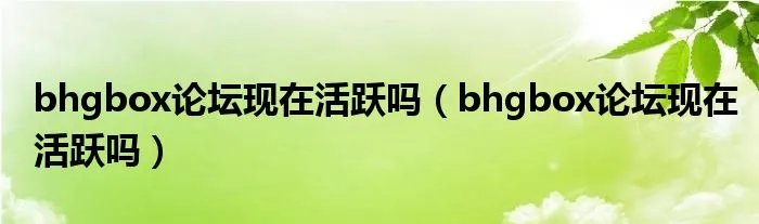 bhgbox论坛现在活跃吗（bhgbox论坛现在活跃吗）