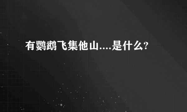 有鹦鹉飞集他山....是什么?