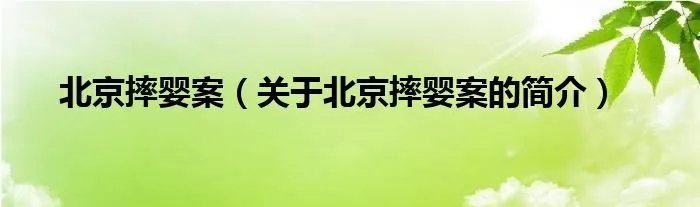 北京摔婴案（关于北京摔婴案的简介）