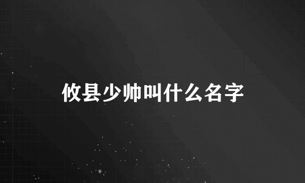 攸县少帅叫什么名字