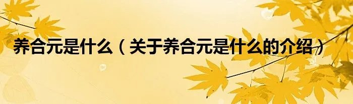 养合元是什么（关于养合元是什么的介绍）