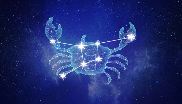 12星座的守护花精灵王是什么 十二星座分别代表的花仙精灵王