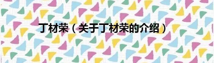 丁材荣(关于丁材荣的介绍)