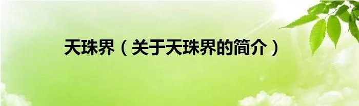 天珠界（关于天珠界的简介）