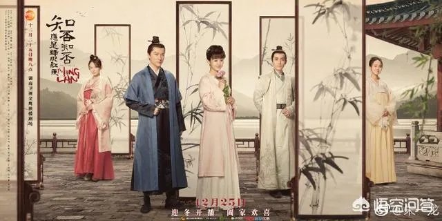 如何评价《知否知否,应是绿肥红瘦》这部剧?