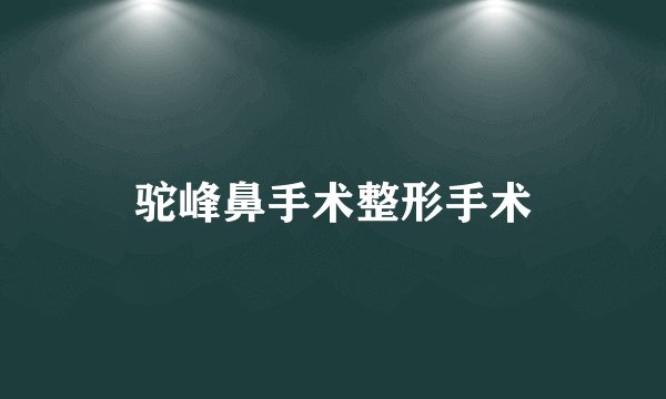 驼峰鼻手术整形手术