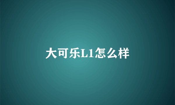 大可乐L1怎么样