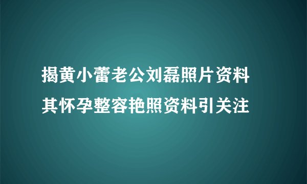 揭黄小蕾老公刘磊照片资料 其怀孕整容艳照资料引关注