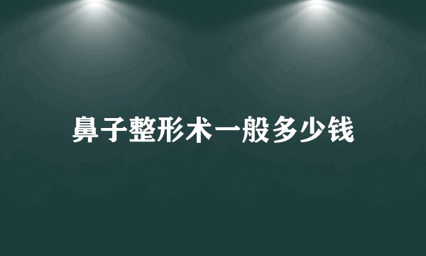 鼻子整形术一般多少钱