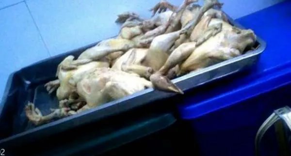 监管部门介入绿茶餐厅卫生乱象,它们存在什么安全问题?