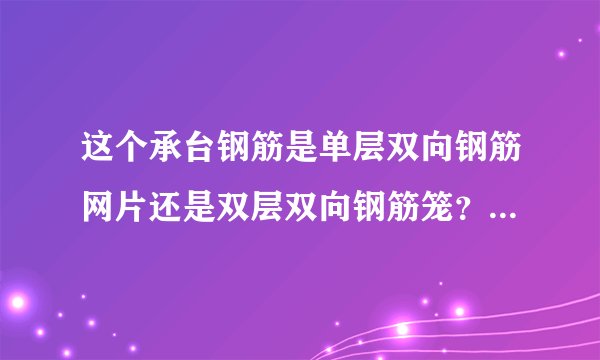 这个承台钢筋是单层双向钢筋网片还是双层双向钢筋笼？怎么看出来？