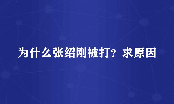 为什么张绍刚被打?求原因