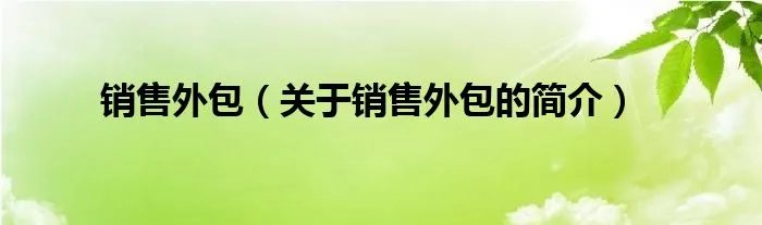 销售外包（关于销售外包的简介）